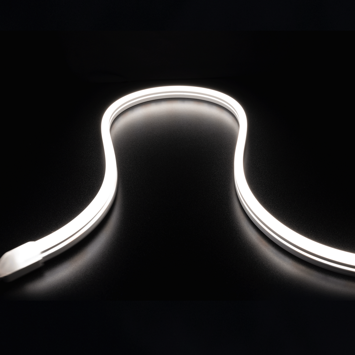 Diode NEON BLAZE Wet Location / IP65 / 5 Year Warranty / 80+ CRI Diffused LED Lighting (1.2W/ft) 65.6ft Spool