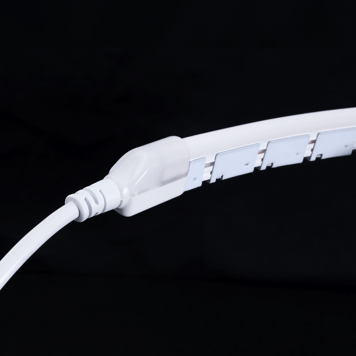 Diode NEON BLAZE Wet Location / IP65 / 5 Year Warranty / 80+ CRI Diffused LED Lighting (1.2W/ft) 65.6ft Spool