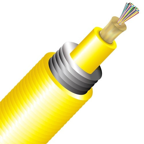 Cleerline TA024S2D9YP-B 24 Strand BendSafe® Interlocking Armored Distribution TB, Plenum, 9/125, G657 A2/B2 OS2 Per FT