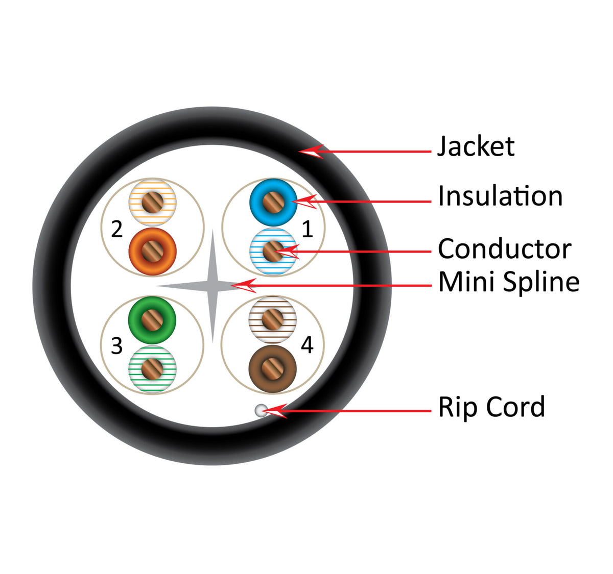 Vertical Cable CAT6 UTP CMP (Plenum-Rated) 1000ft Spool