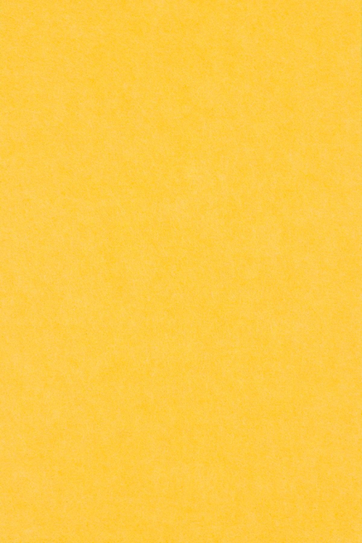 Middle Atlantic AUTT22SQMTKSMPNA Multitrack 2'x2',Premium,Pineapple