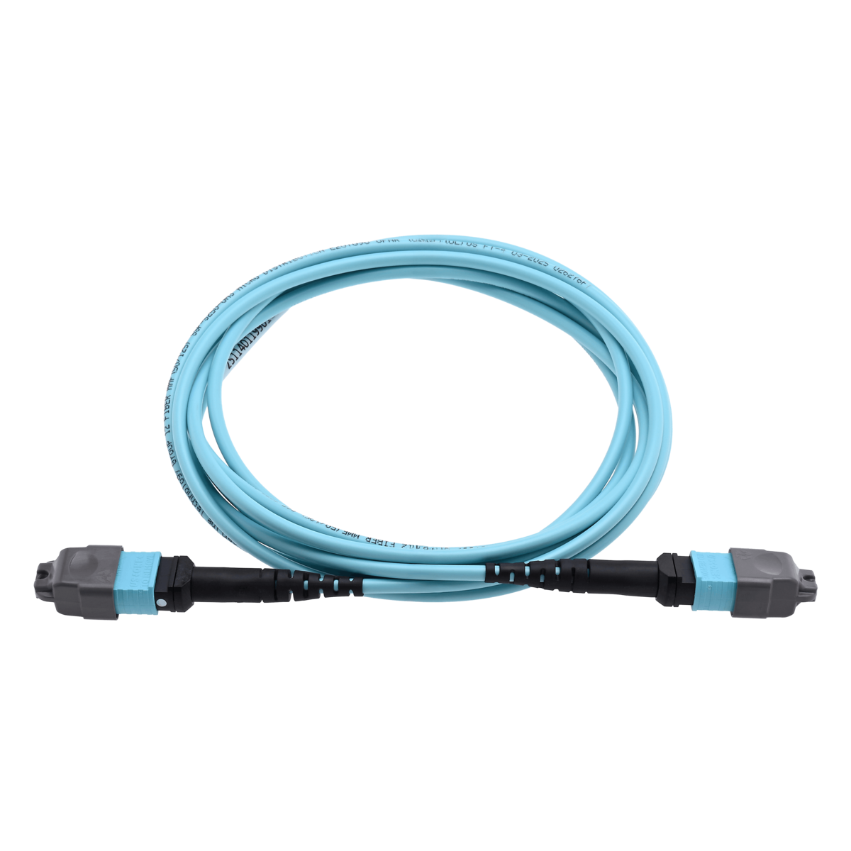 Cleerline CTG-S4F-12M3M3-01m SSF™ MTP Jumper, 12F OM4, TYPE B, MTP-F UPC to MTP-F UPC, 3.0mm PVC, 1 m / 3.3 ft Per Each