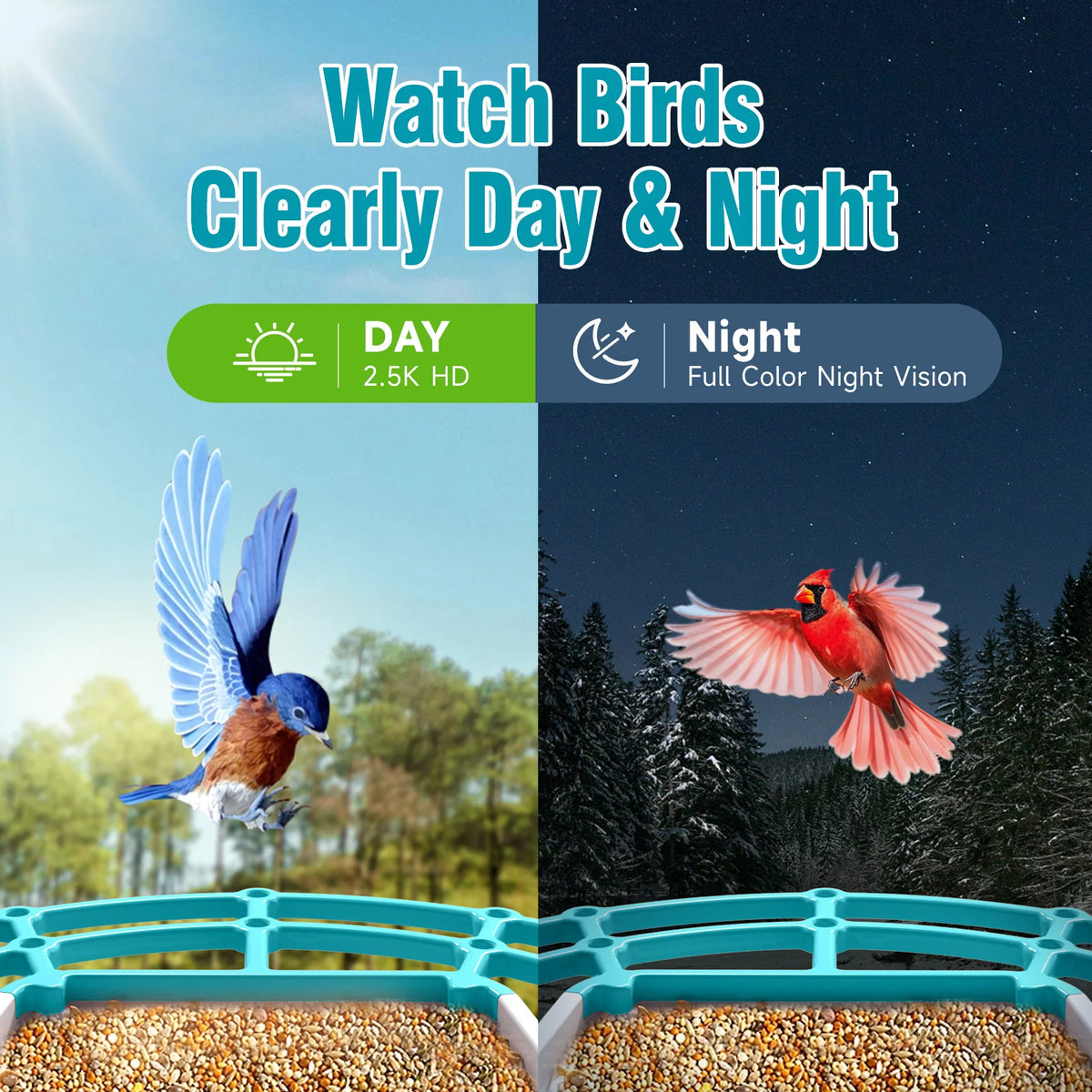 Cinmoore P2U Smart WiFi Bird Feeder Battery/Solar Camera
