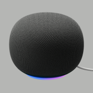 Google Home Speaker with Gemini