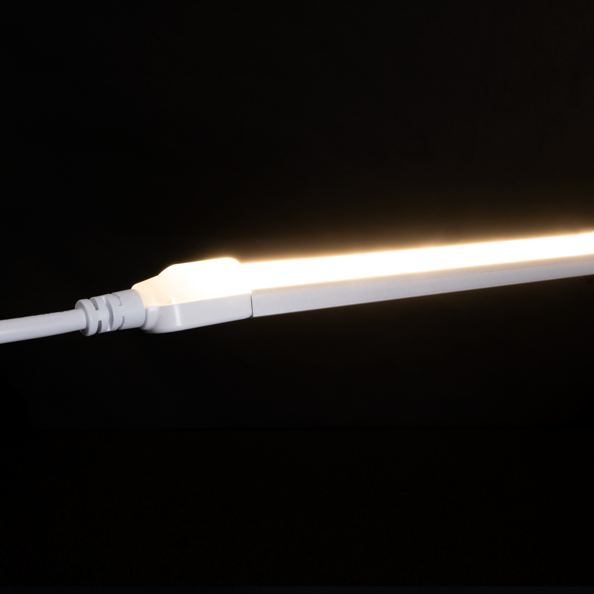 Diode NEON BLAZE Wet Location / IP65 / 5 Year Warranty / 80+ CRI Diffused LED Lighting (1.2W/ft) 65.6ft Spool