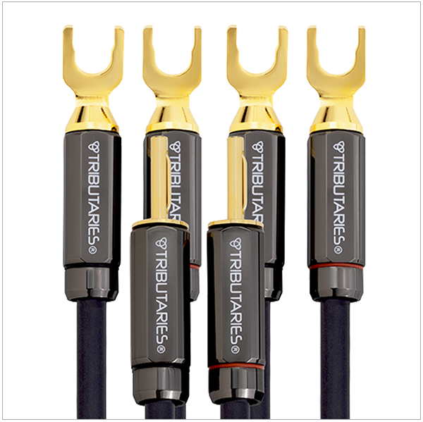 Tributaries Cable 6BW-BL-060D 6 BiWire 2X4 BP>SL MKII 6' dis