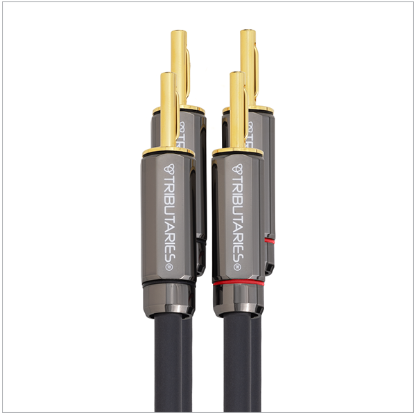 Tributaries Cable 6SP-B-060D 6 Speaker Banana MKII 6' dis