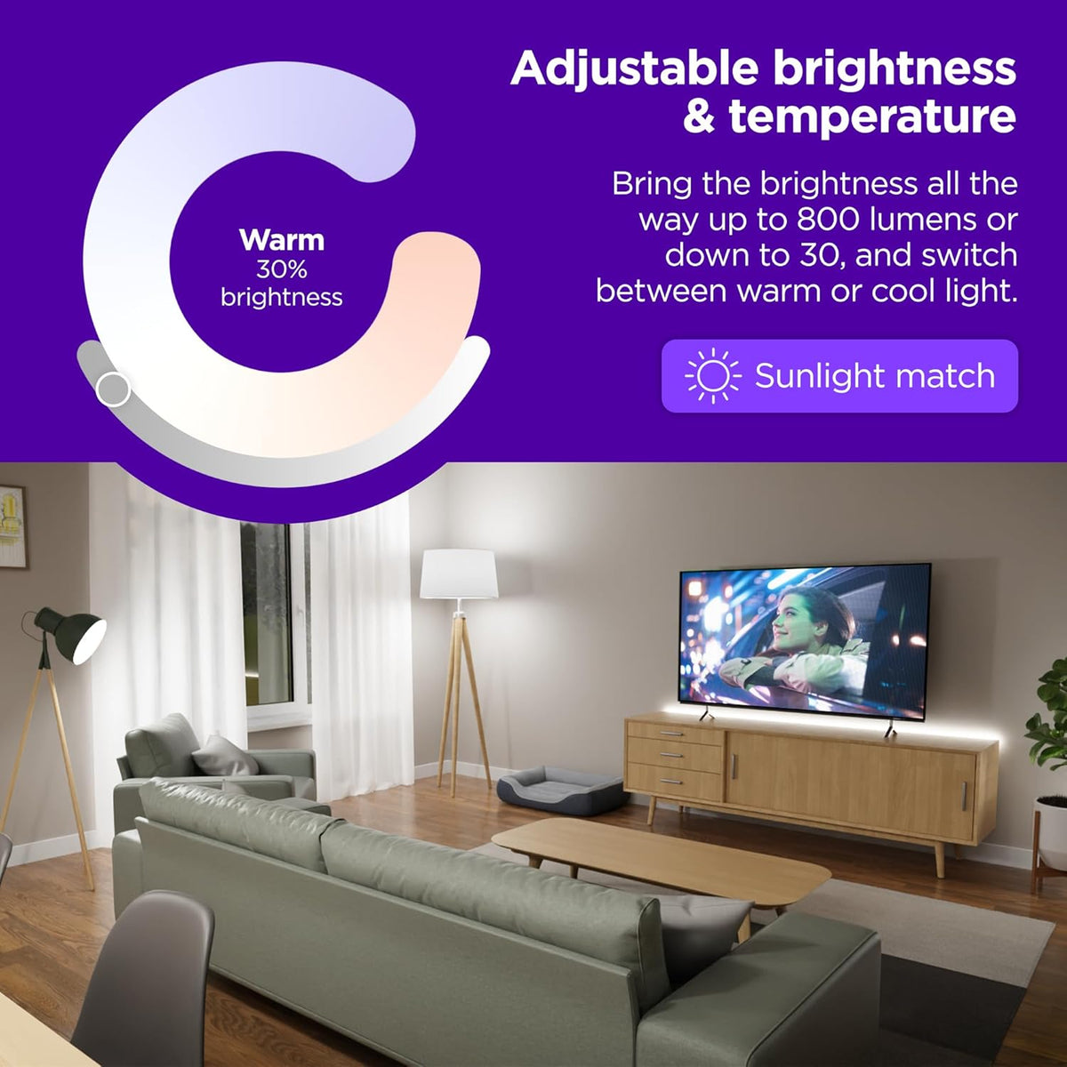 Roku Smart Bulb SE A19 White 1 pack