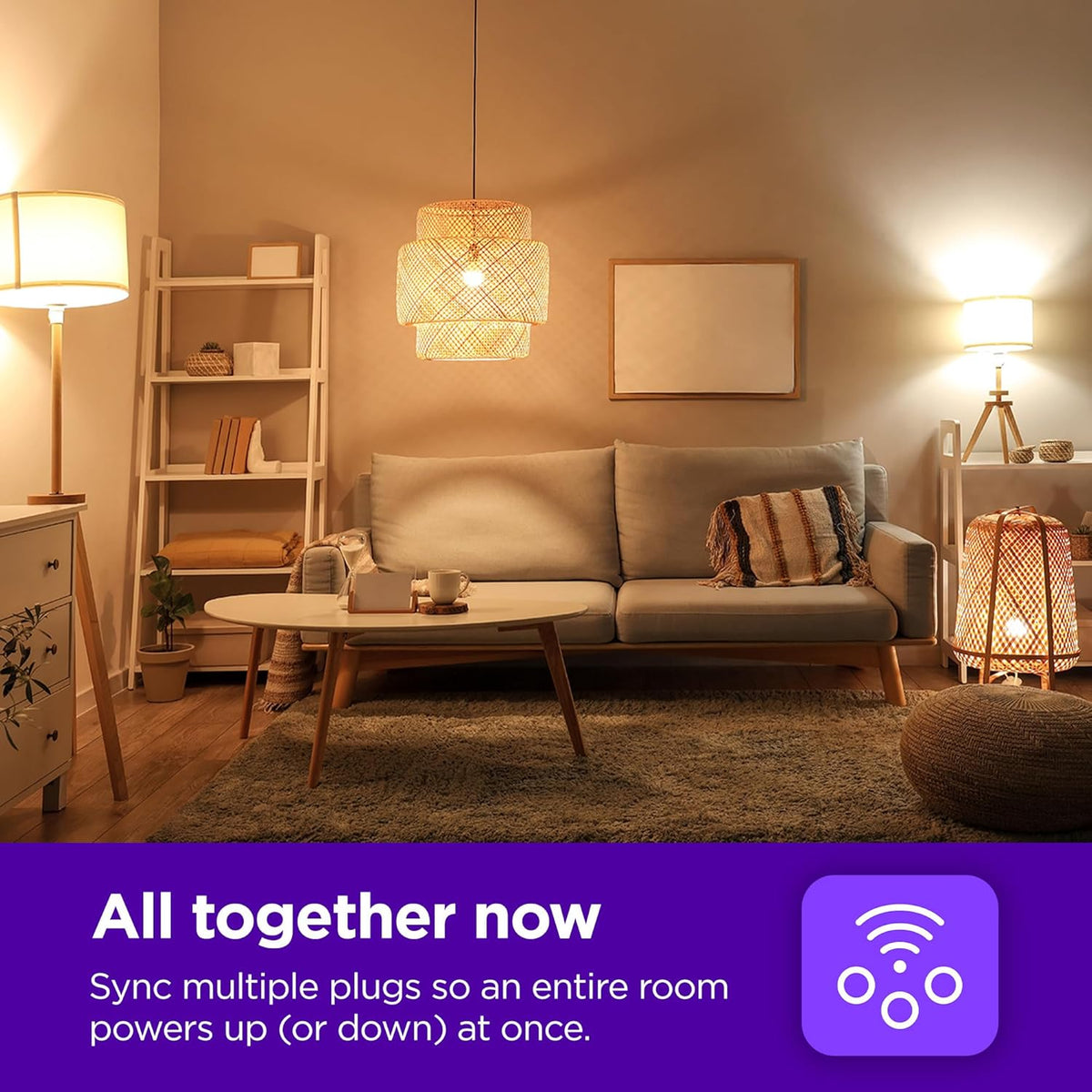 Roku Indoor Smart Plug SE 1 pack