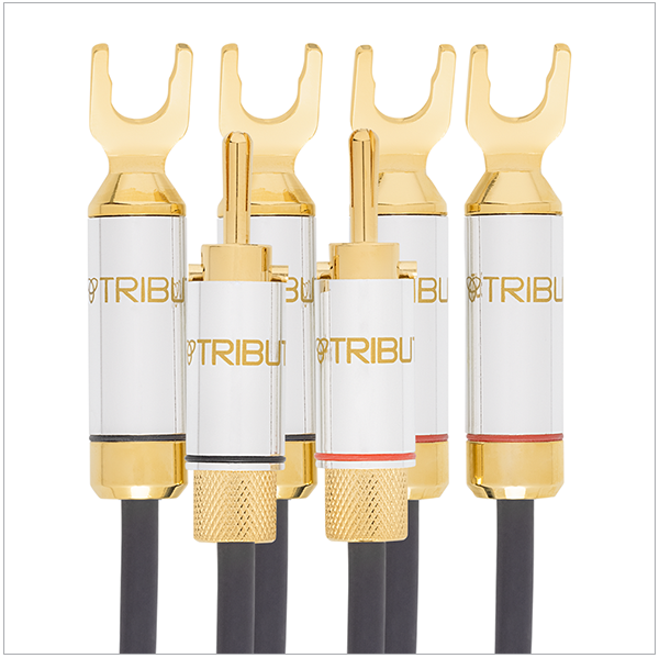 Tributaries Cable 8BW-B-080D 8 BiWire 2X4 Banana MKII 8' dis