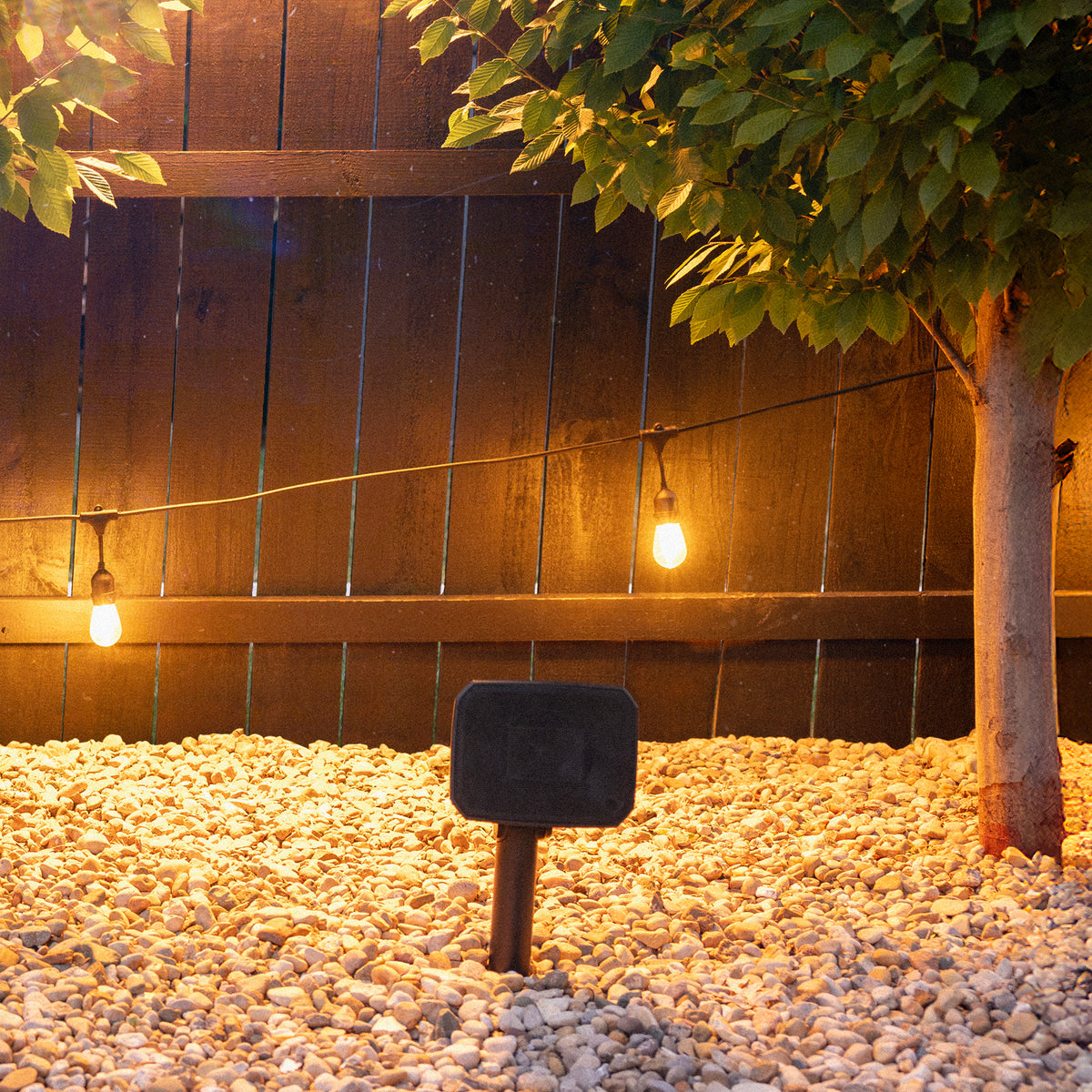 Klipsch Courtyard 2.0 Black Klipsch Courtyard Speakers outdoors in gravel between symmetrical trees 2000x2000