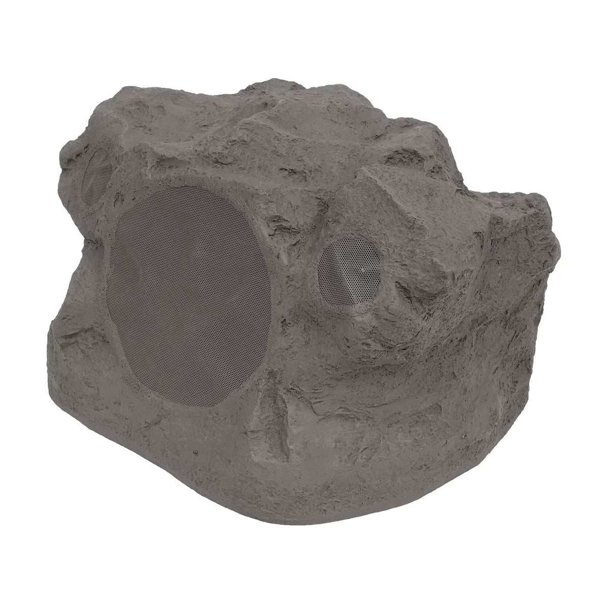 Proficient Protege RS8Si 8" (200mm) DVC/SST Outdoor Rock Speaker, Each