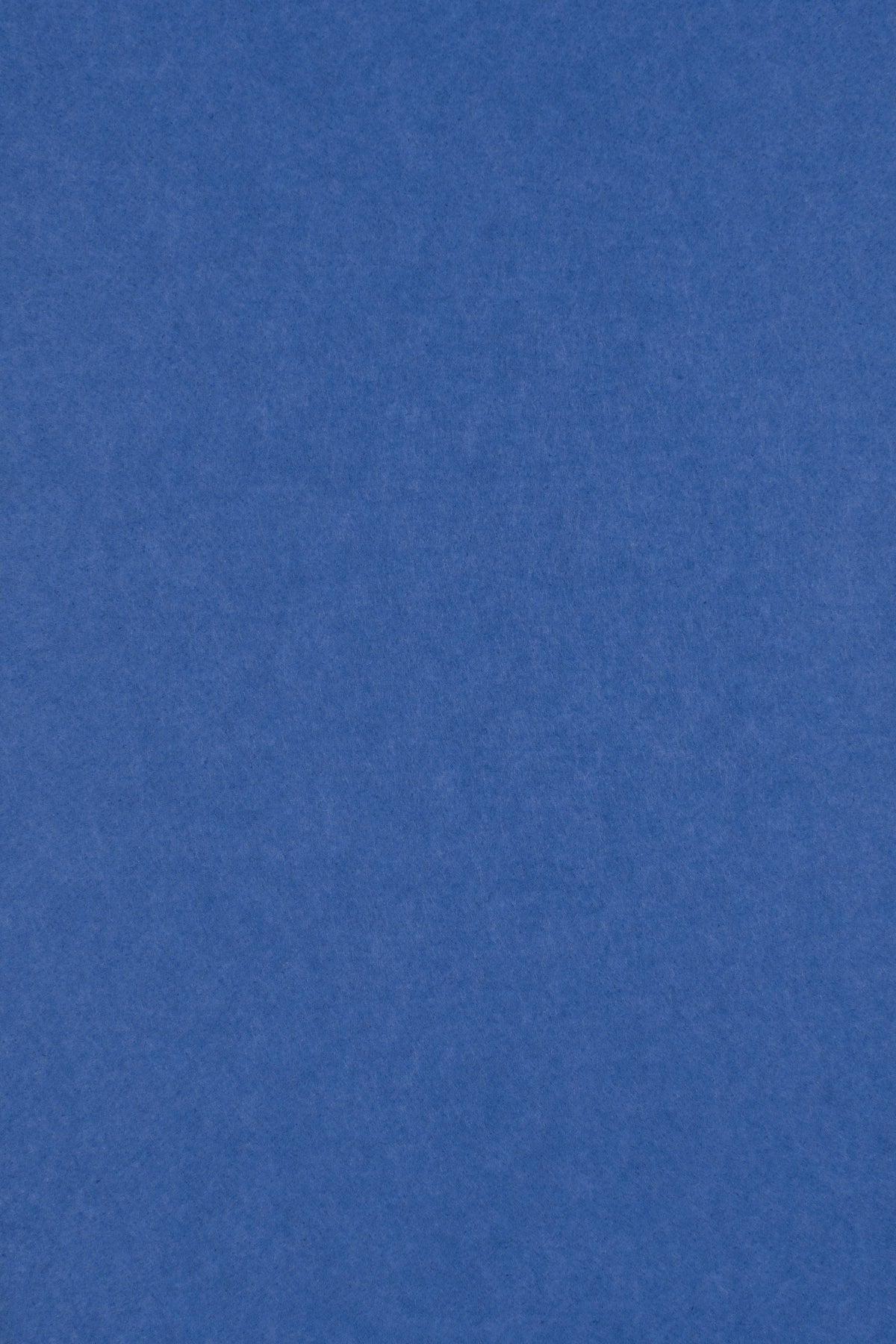 Middle Atlantic AUTT22SQDACSMCFB Double Arc 2'x2', Premium, Cornflower Bl