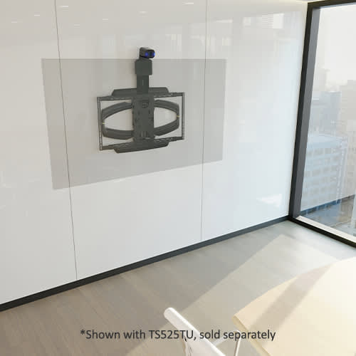 Chief TA210E VADDIO IntelliSHOT THINSTALL MOUNT