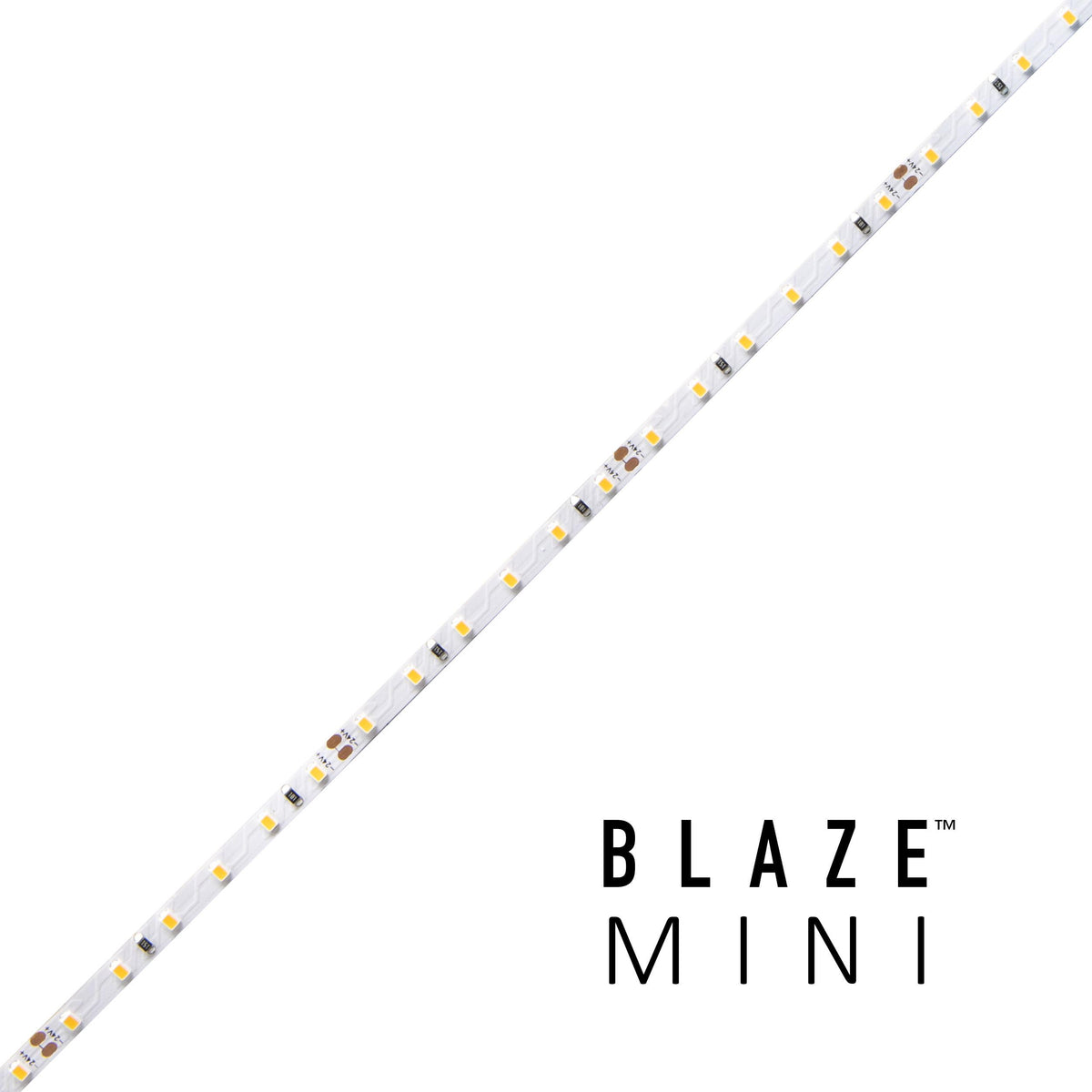 Diode BLAZE MINI 12 Year Warranty / 90+ CRI 4mm LED Tape Light 16.4ft Spool 24V