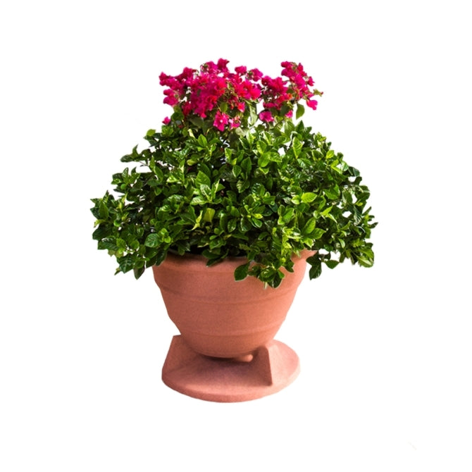 Rockustics OMNIPLANTER 8.0" Omnidirectional Outdoor Speaker, Each