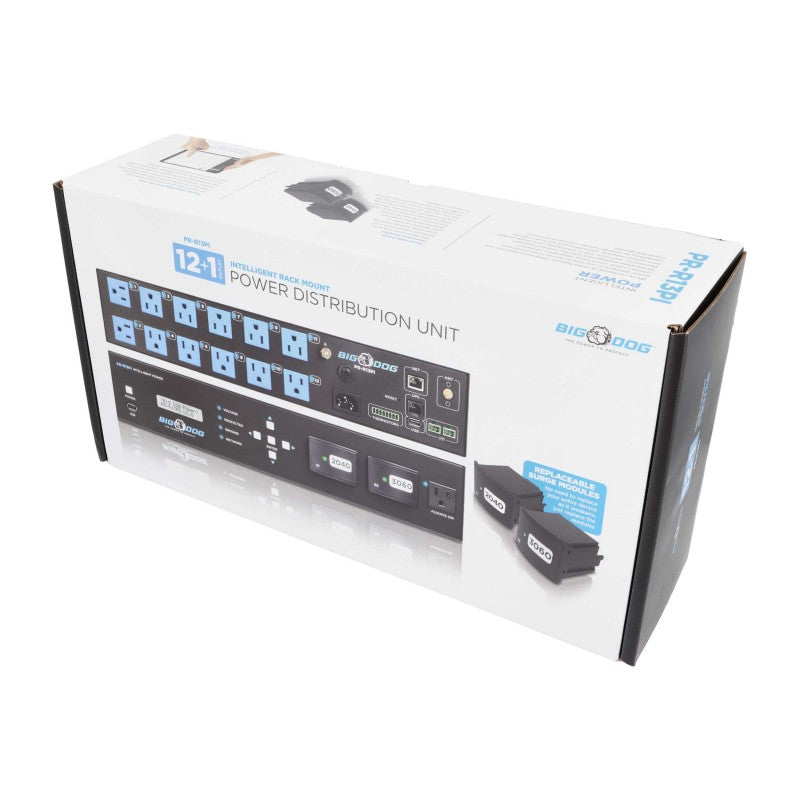 Big Dog Power Wi-Fi Rack Mount Surge PR-R13PI