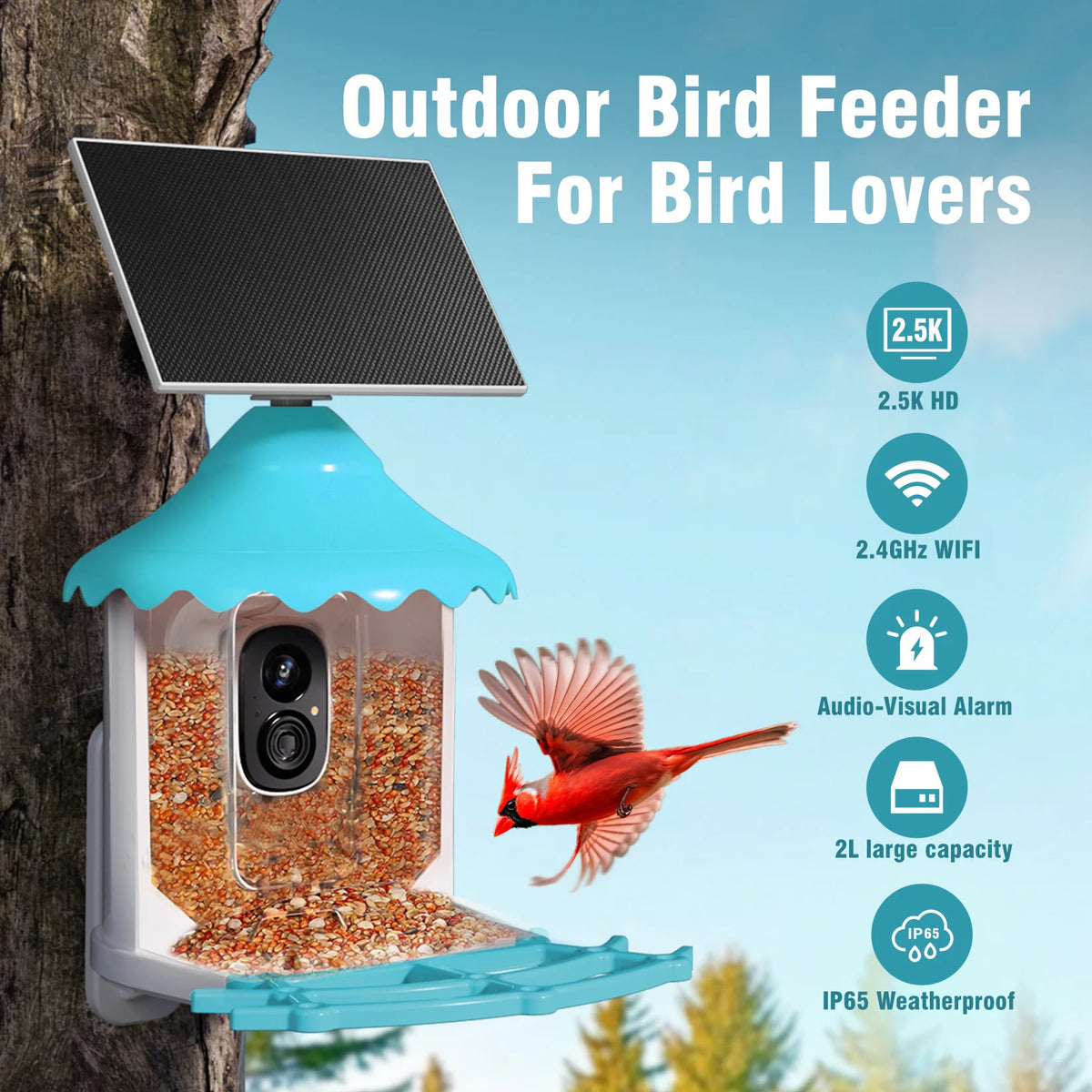 Cinmoore P2U Smart WiFi Bird Feeder Battery/Solar Camera