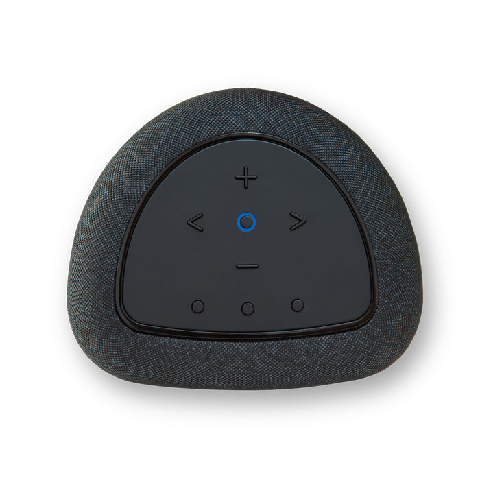 BlueSound Pulse Flex Wireless All-In-One Music Streaming Speaker