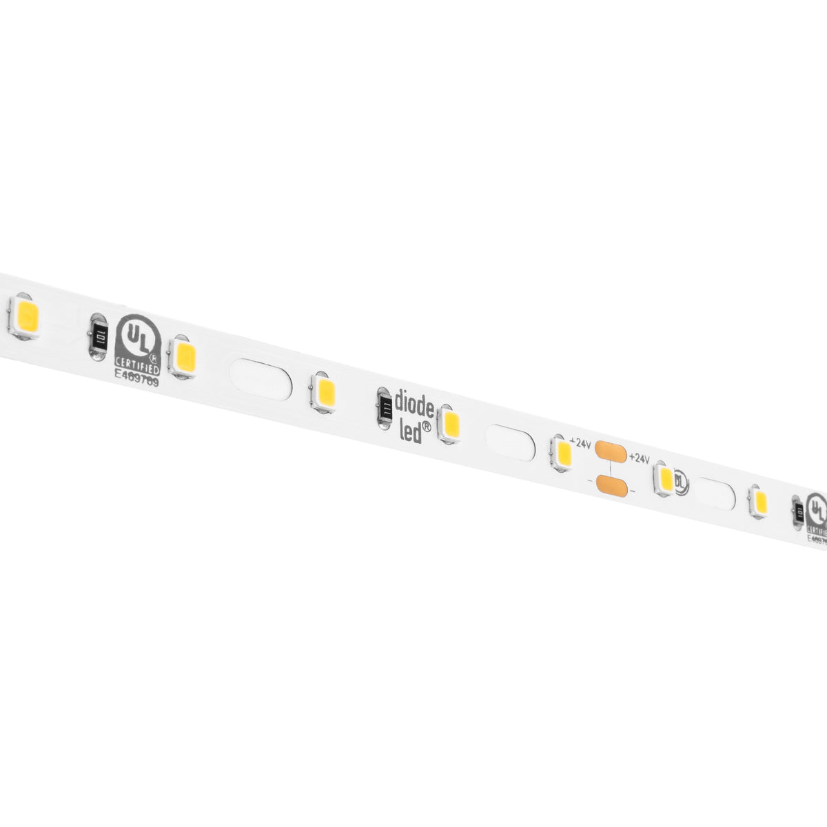 Diode SQUIGGLY 7 Year Warranty / 95+ CRI LED Tape Light 24V