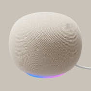 Google Home Speaker with Gemini